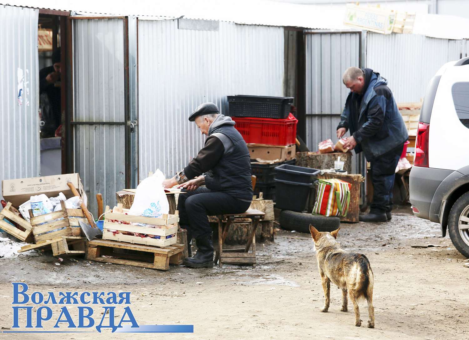 Волжская ПРАВДА - Мясной рынок на Дружбе в Волжске (Марий Эл): кушать  продано!